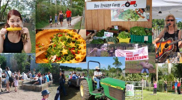 farm-day-collage
