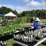 Redland GrowFest!